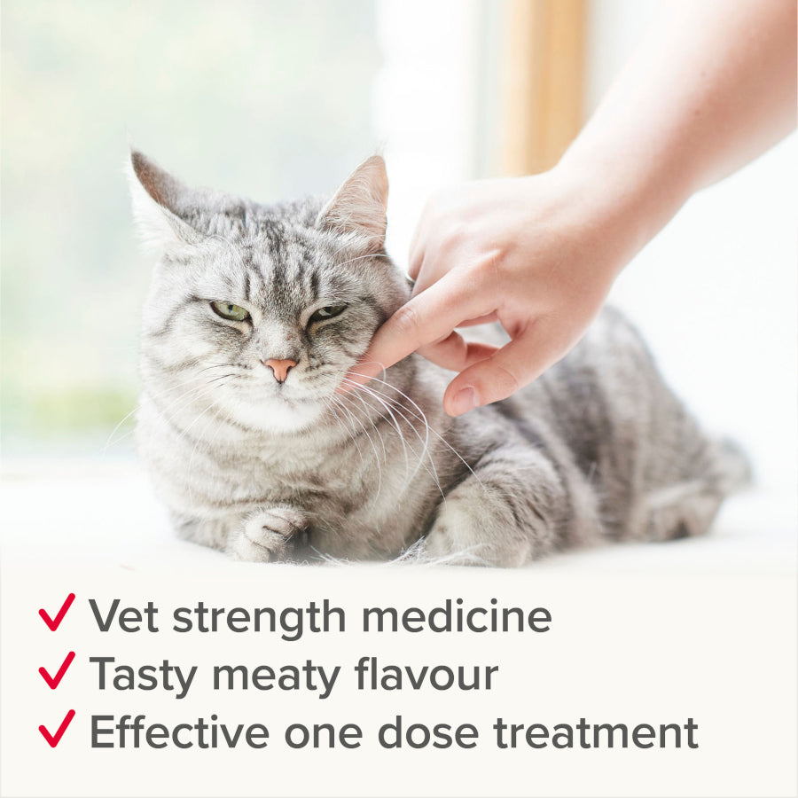 Beaphar Wormclear Cat (2 tablets)