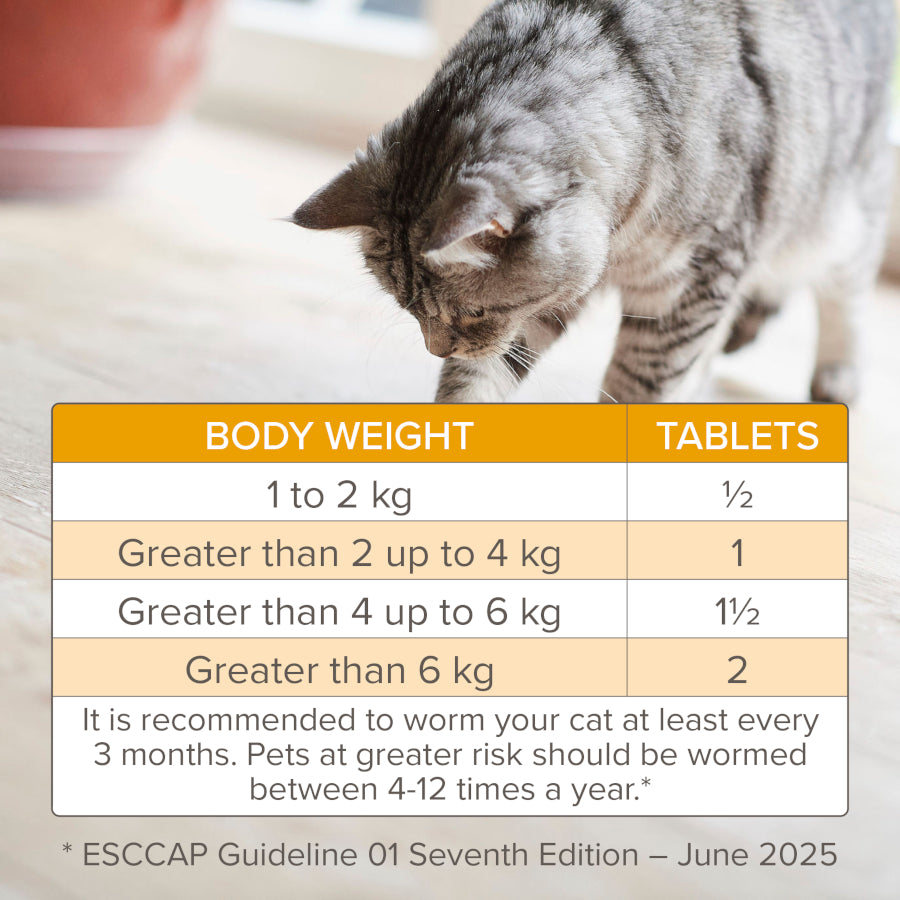 Beaphar Wormclear Cat (2 tablets)