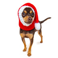 Load image into Gallery viewer, Santa Hat Dog Snood
