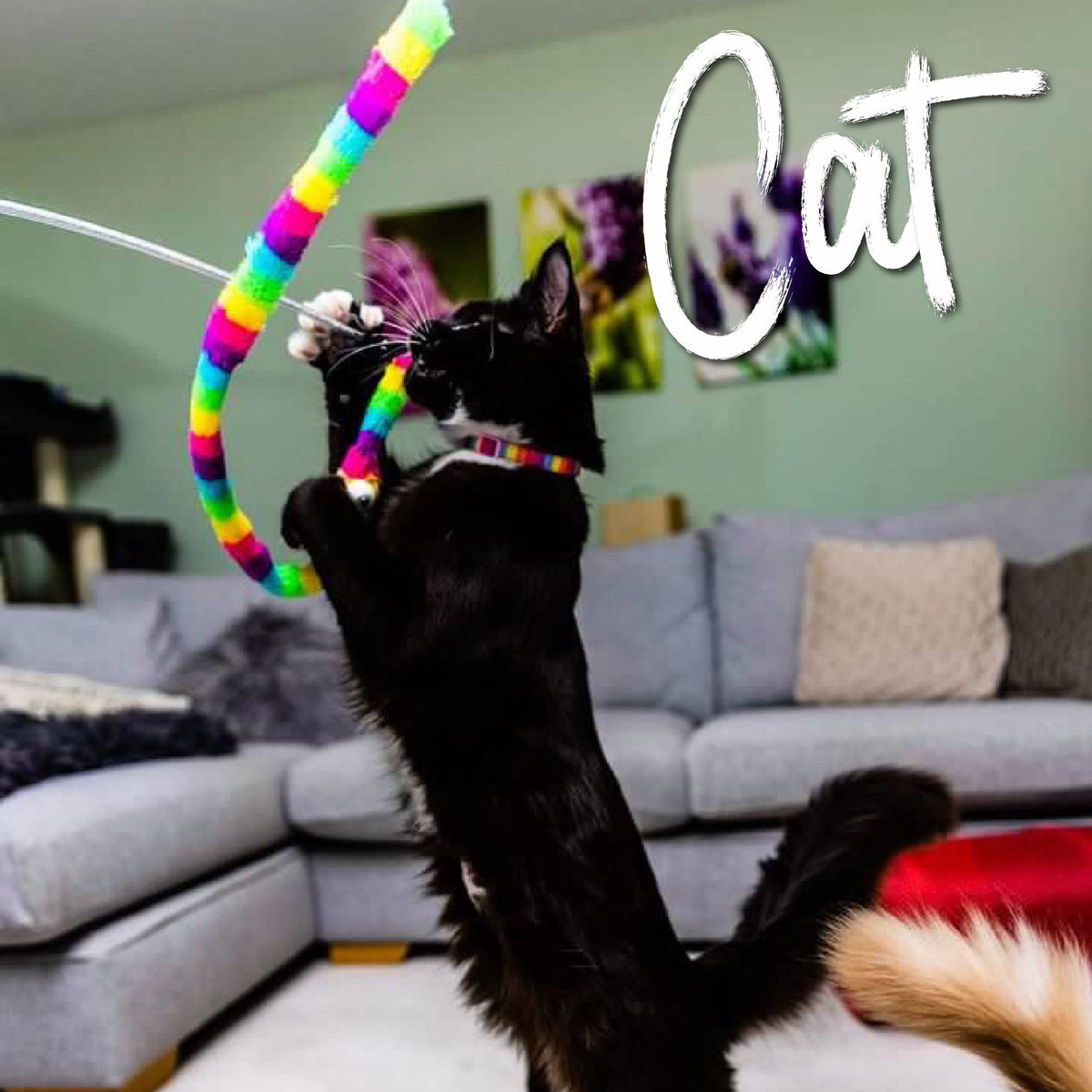 Wiggle Worm Rainbow Cat Dangler