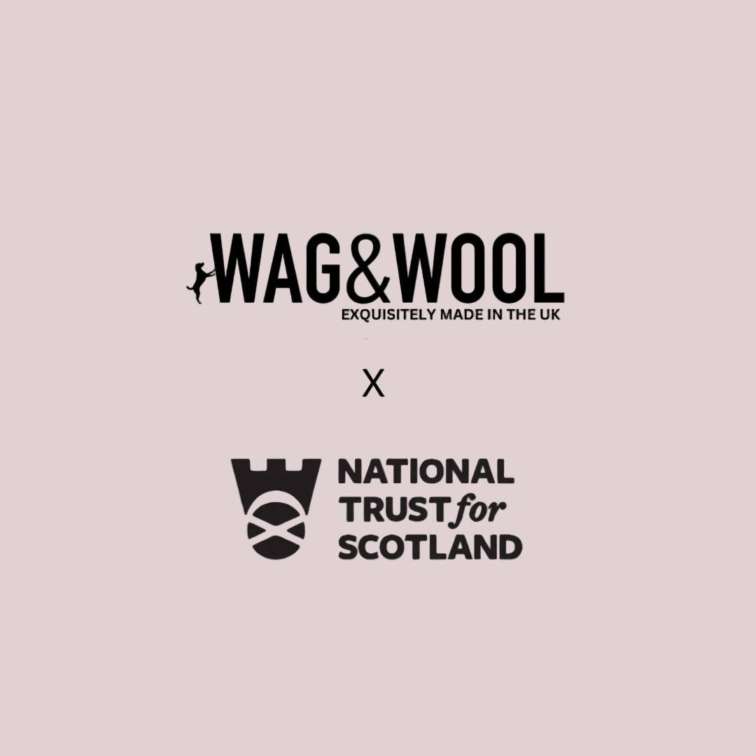 The National Trust For Scotland Sheep Dog Jumper