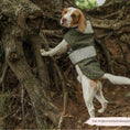 Load image into Gallery viewer, Luxe Quilted Dog Coat Countryside Khaki
