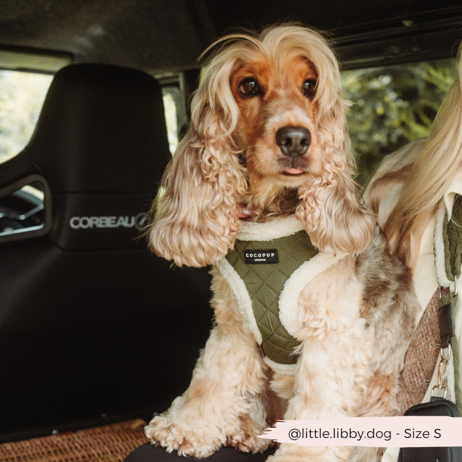 Quilted Adjustable Neck Harness