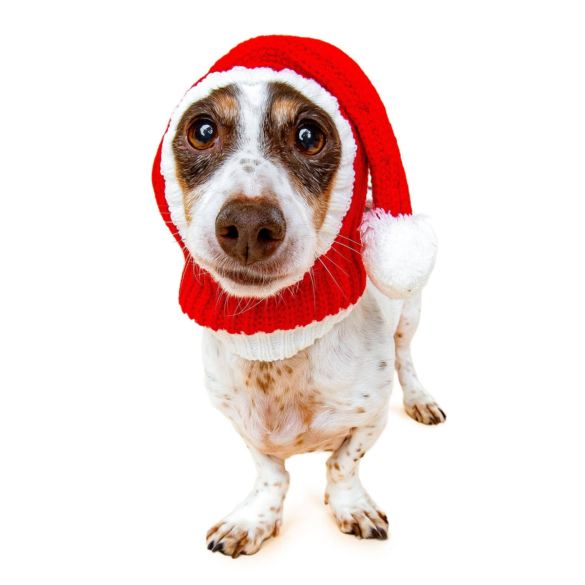 Santa Hat Dog Snood