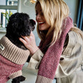 Load image into Gallery viewer, Burgundy Merino Lambswool Dog Jumper
