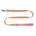 Load image into Gallery viewer, Two-Tone Lead - Tutti-Fruity
