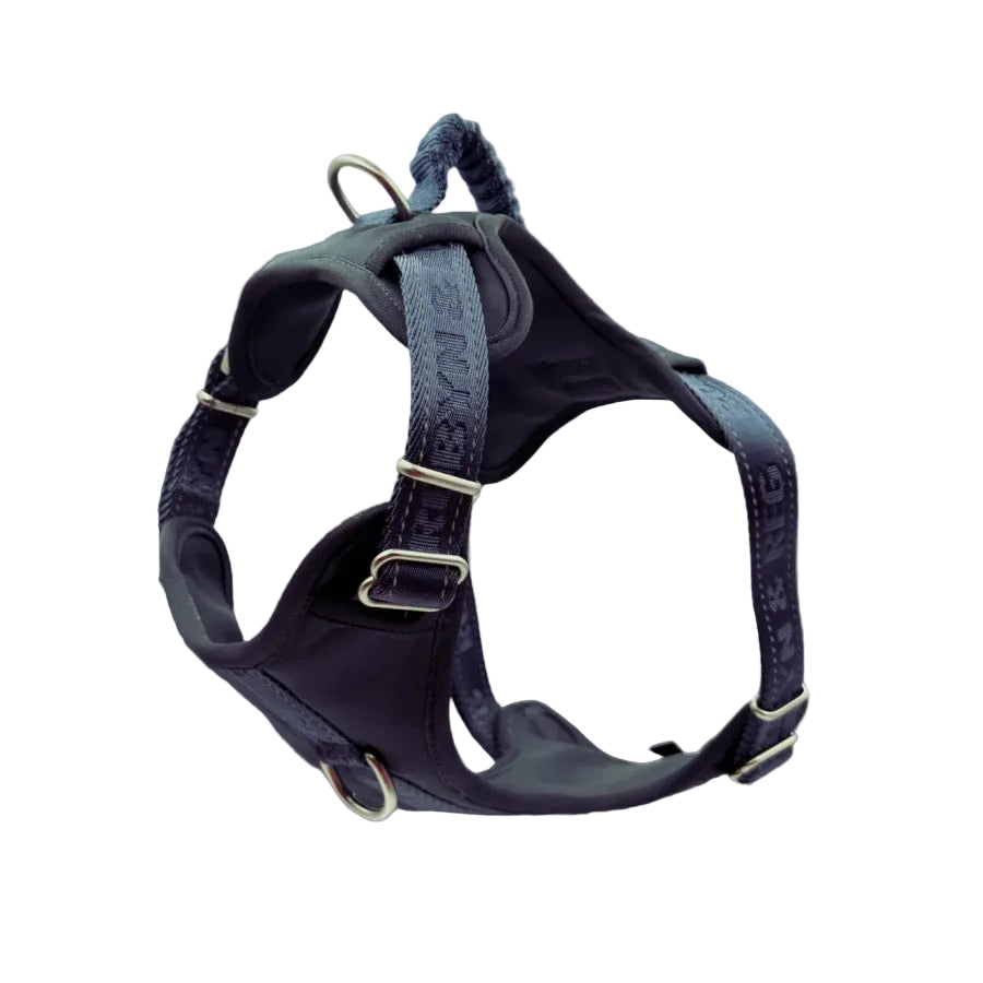A dark navy blue dog harness with silver metal hardware,