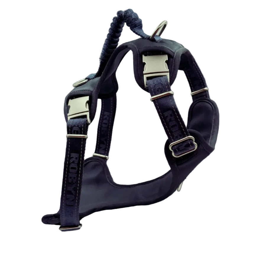 A dark navy blue dog harness with silver metal buckles and a coiled leash attached at the top