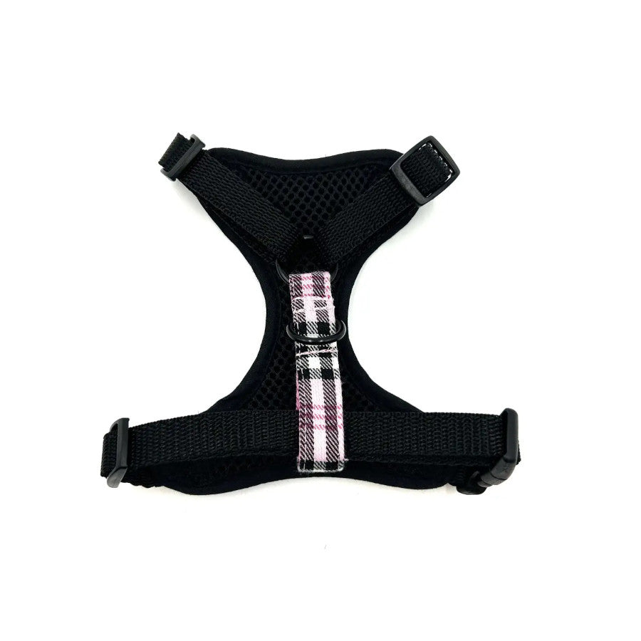 Pinkberry Check Cat Harness & Lead