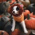 Load image into Gallery viewer, Lion Dog Snood
