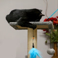 Load image into Gallery viewer, Feather Bell Cat Dangler
