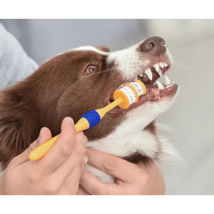 Arm & Hammer Fresh 360 Toothbrush For Dogs