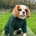 Load image into Gallery viewer, Legacy Polar Fleece Dog Explorer Khaki
