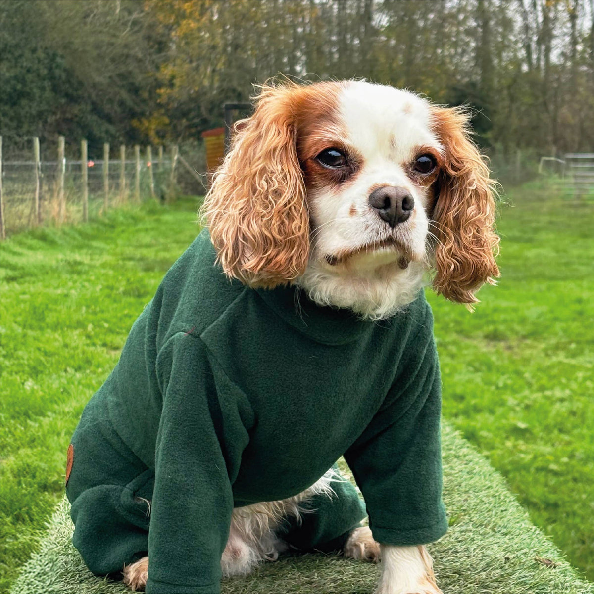 Legacy Polar Fleece Dog Explorer Khaki