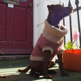 Load image into Gallery viewer, Burgundy Merino Lambswool Dog Jumper
