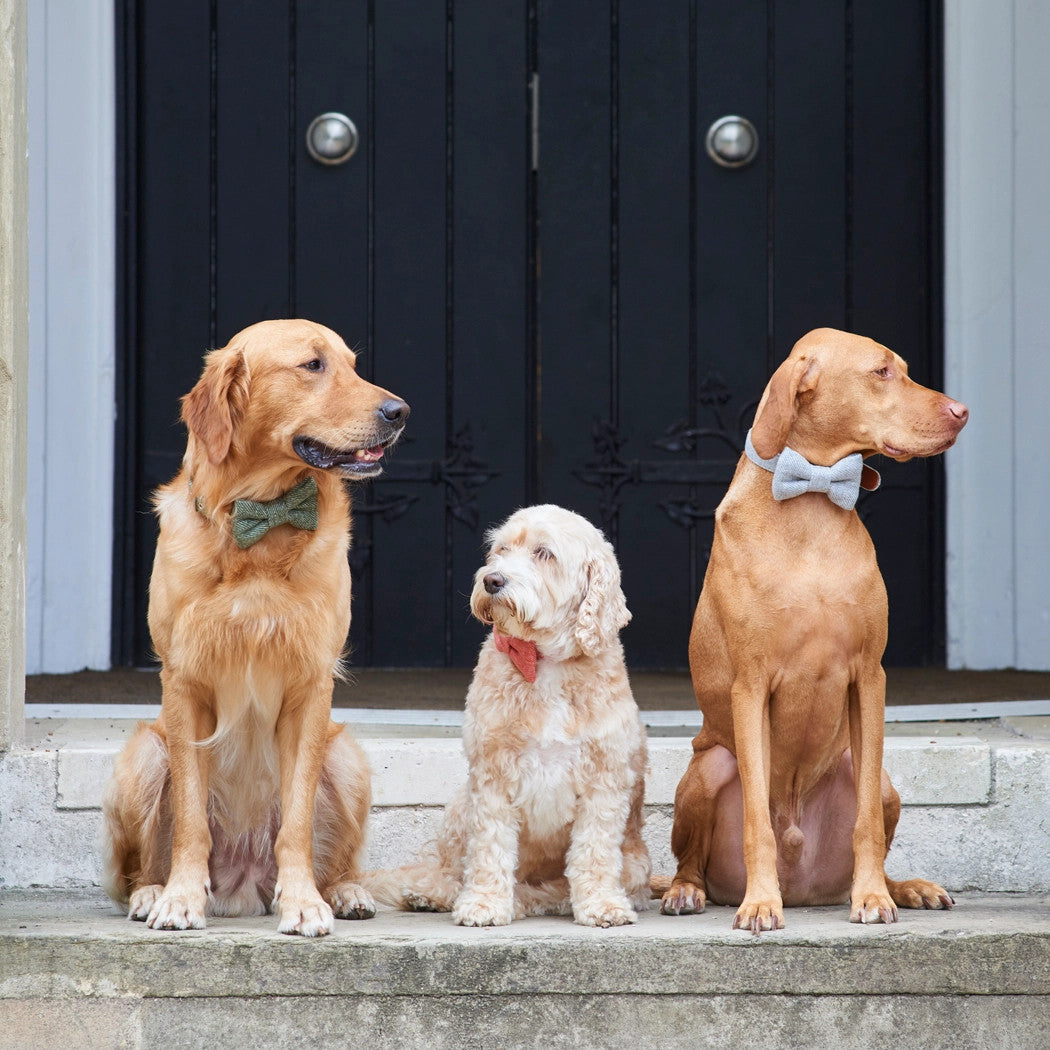 Tweed Bow Tie
