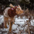 Load image into Gallery viewer, Reindeer Dog Snood
