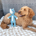 Load image into Gallery viewer, Plush Squeaky Dog Toy
