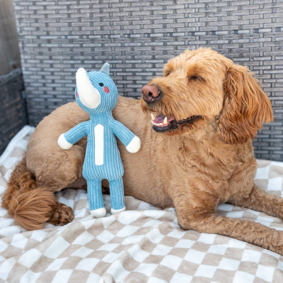 Plush Squeaky Dog Toy