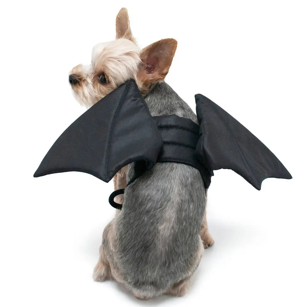 Bat Wings Costume for Dogs