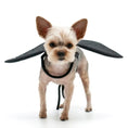 Load image into Gallery viewer, Bat Wings Costume for Dogs
