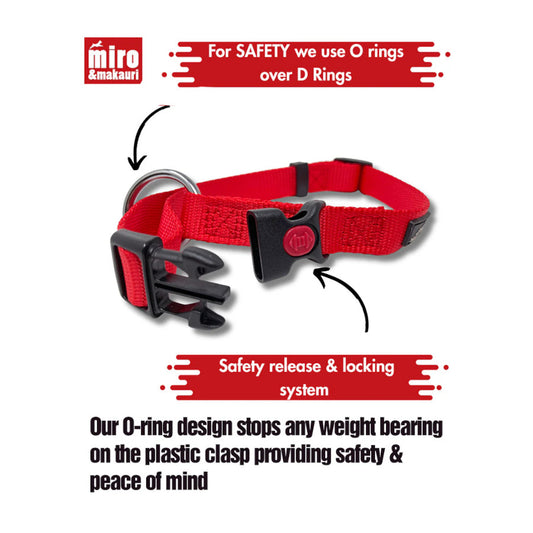 Belay Nylon Safety Collar Orange