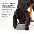 Load image into Gallery viewer, Icon Long Eared Dog Bowl Cream
