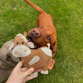 Load image into Gallery viewer, Eco Dog Toy Betsie Cow
