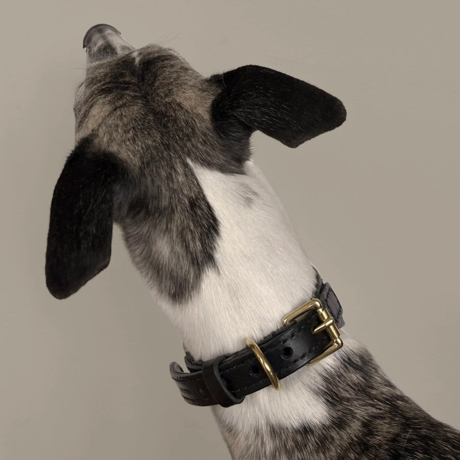 Artisan 03 Sight Hound Collar Black