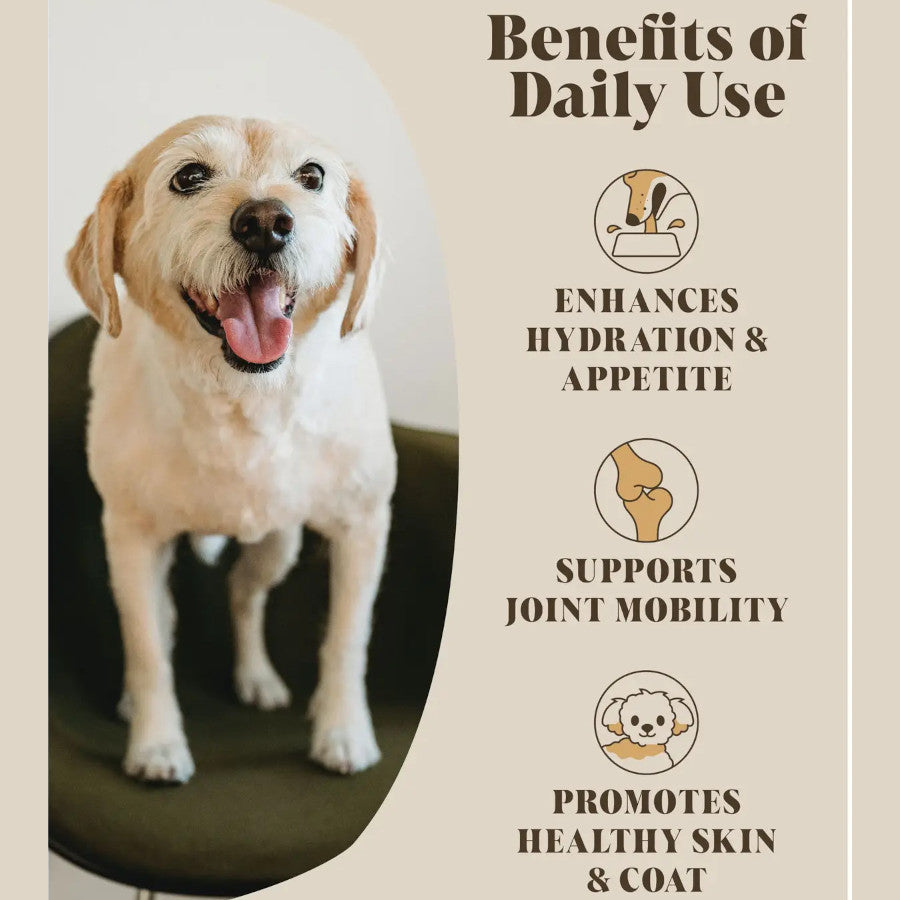 Bone Broth Gravy For Picky Eaters