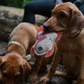 Load image into Gallery viewer, Starman Eco Leather Dog Toy
