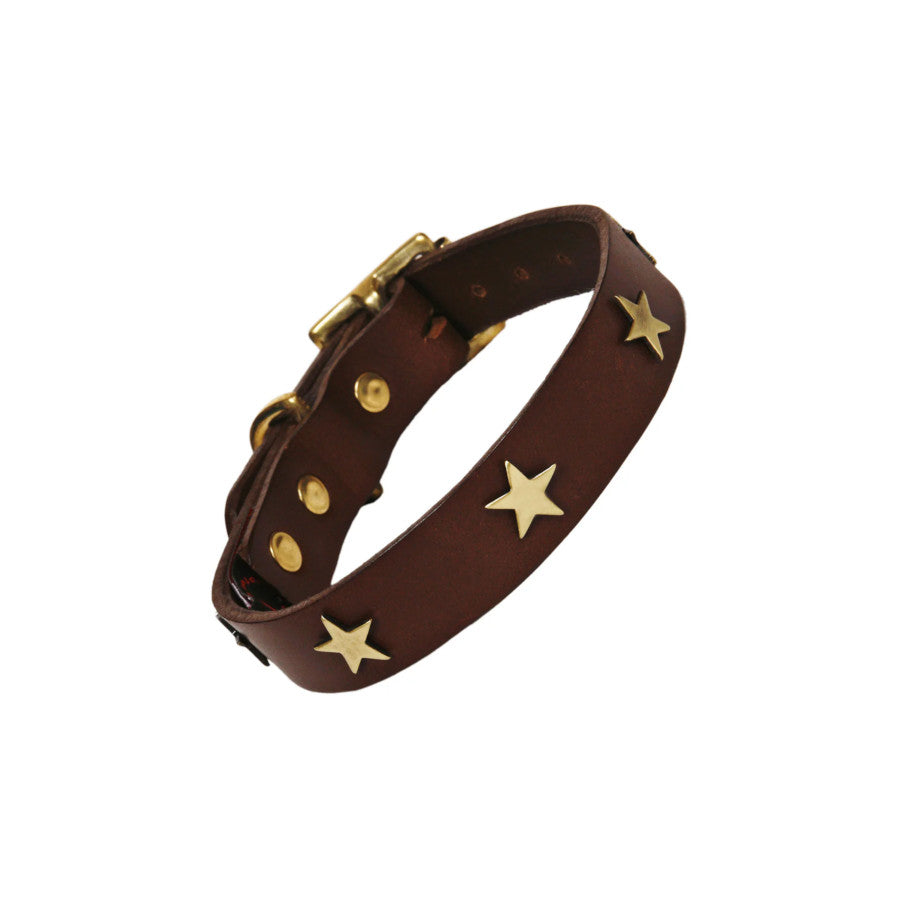 Brass Star Chocolate Brown Leather Dog Collar