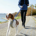Load image into Gallery viewer, Go Mentum Dog Bungee Lead
