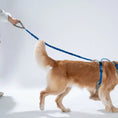 Load image into Gallery viewer, Go Mentum Dog Bungee Lead
