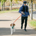 Load image into Gallery viewer, Go Mentum Dog Bungee Lead
