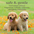 Load image into Gallery viewer, Burt's Bees Itch Soothing Shampoo For Dogs 473ml
