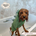 Load image into Gallery viewer, Dinopup Drying Robe

