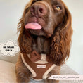 Load image into Gallery viewer, Brown Aviator Adjustable Neck Harness
