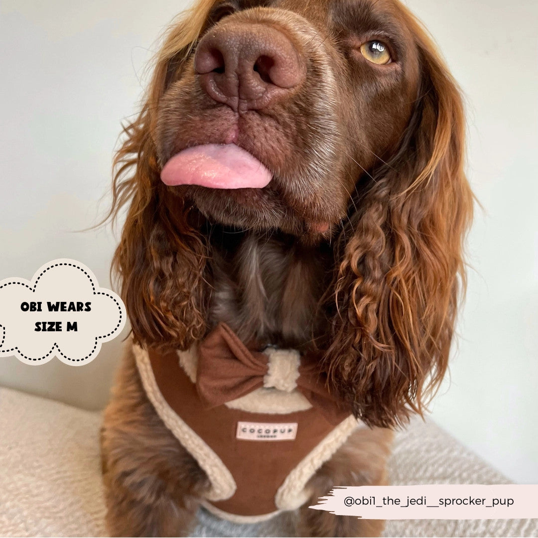 Brown Aviator Adjustable Neck Harness