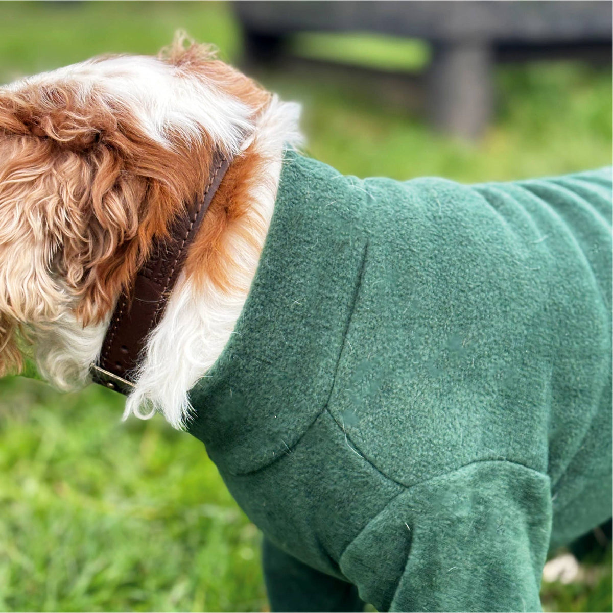 Legacy Polar Fleece Dog Explorer Khaki