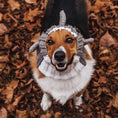 Load image into Gallery viewer, Great White Shark Dog Snood
