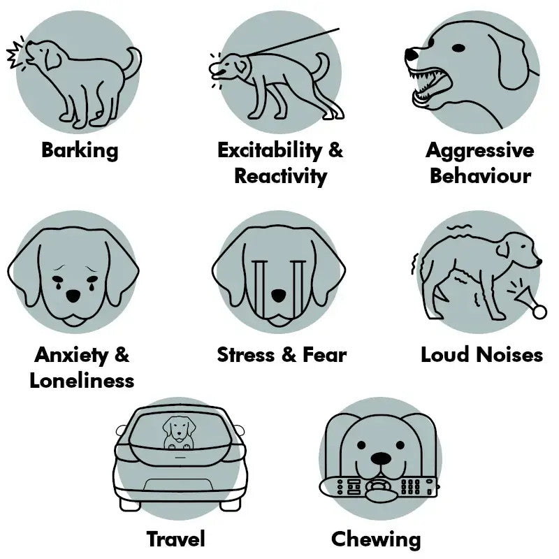 Calming Dog Treats