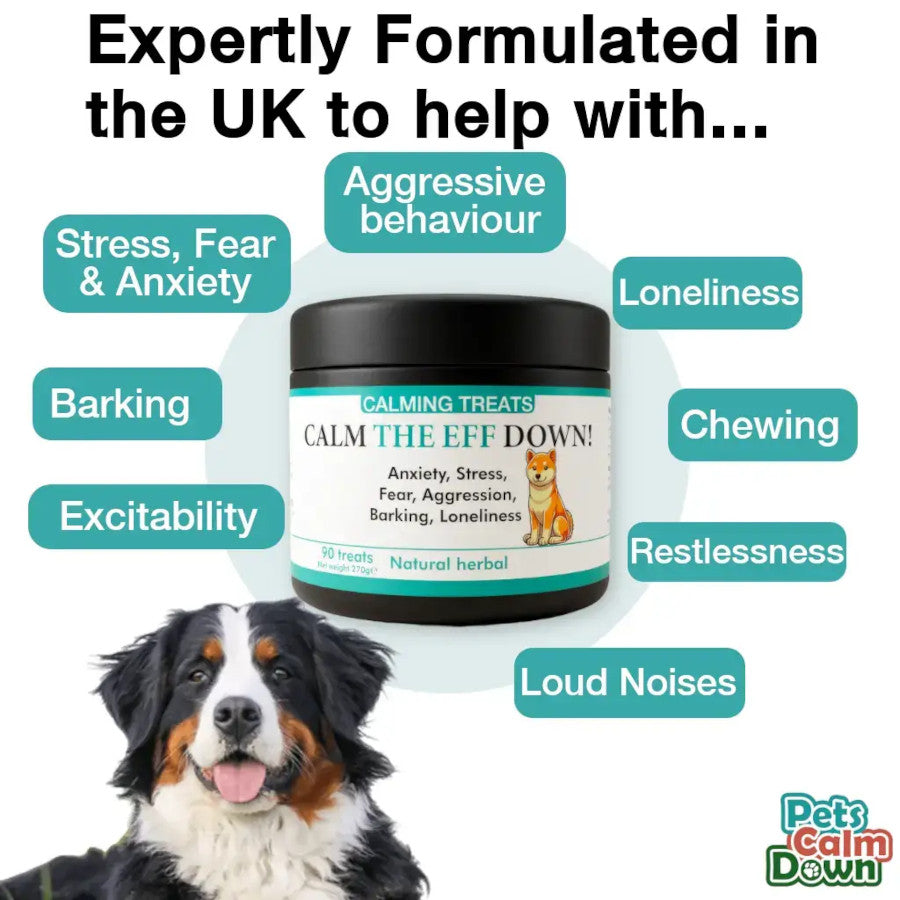 Calming Dog Treats