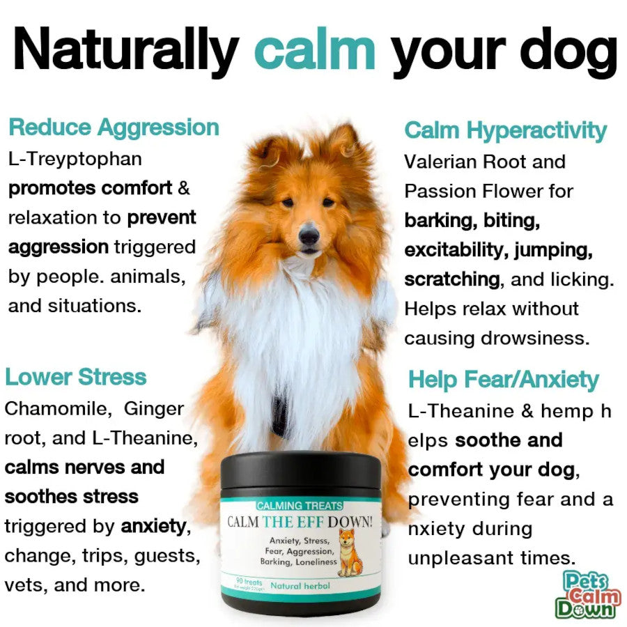 Calming Dog Treats