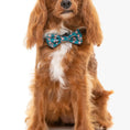 Load image into Gallery viewer, Candy Canes Bandana & Bow Tie
