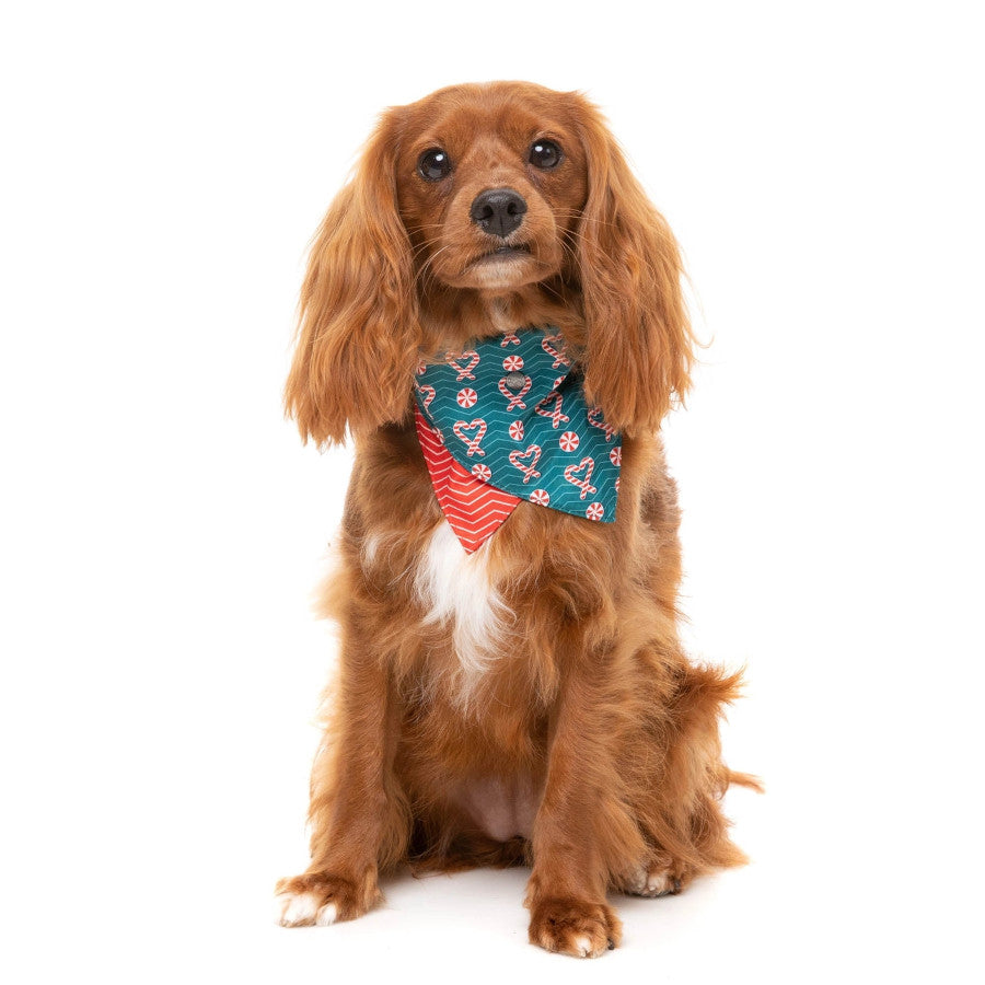 Candy Canes Bandana & Bow Tie