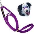 Load image into Gallery viewer, Canny Collar
