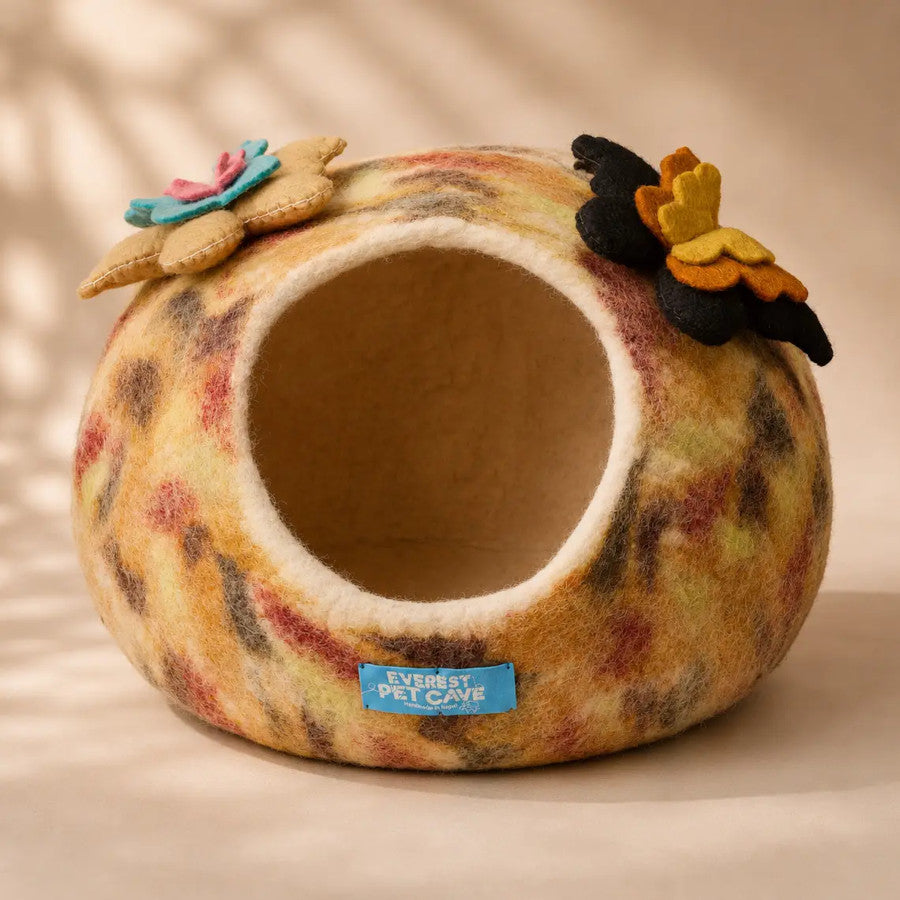 Cat Cave Orange Butterfly