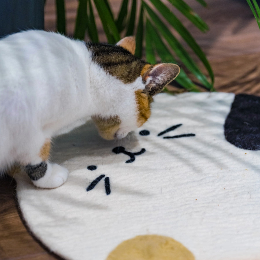 Cat Scratch Mat