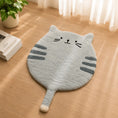 Load image into Gallery viewer, Cat Scratch Mat
